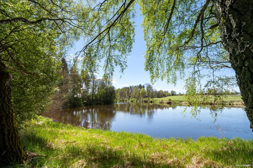 Fullskärm