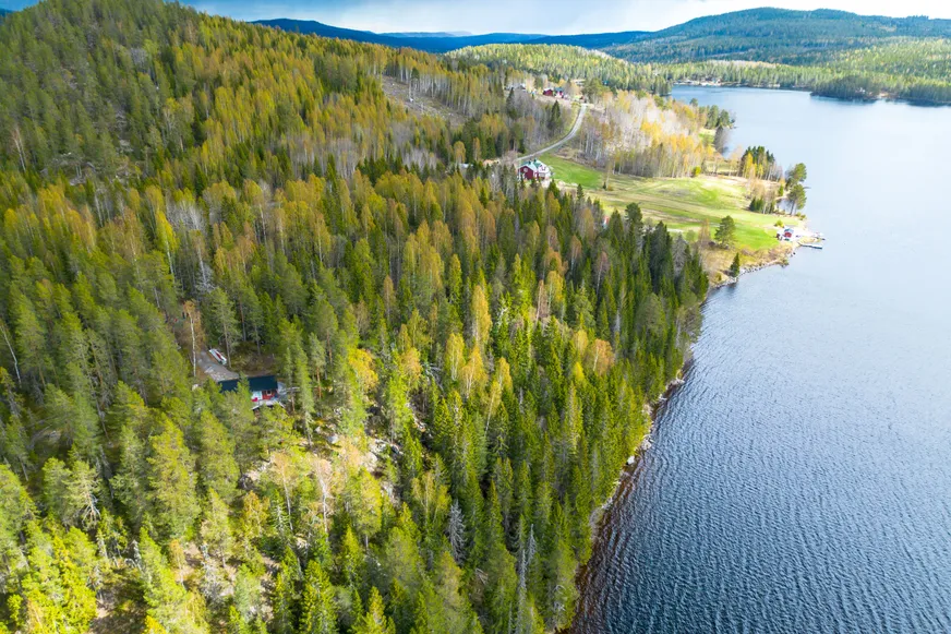 Fullskärm