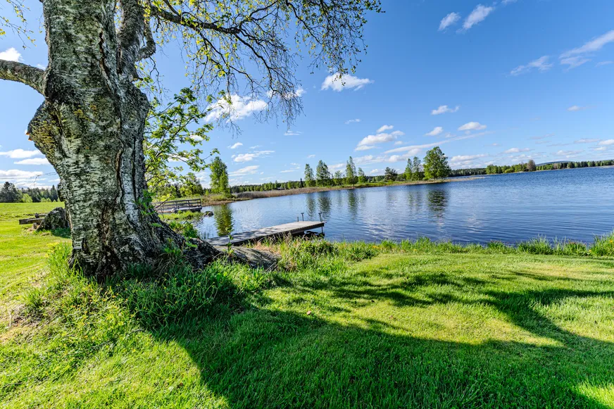Fullskärm