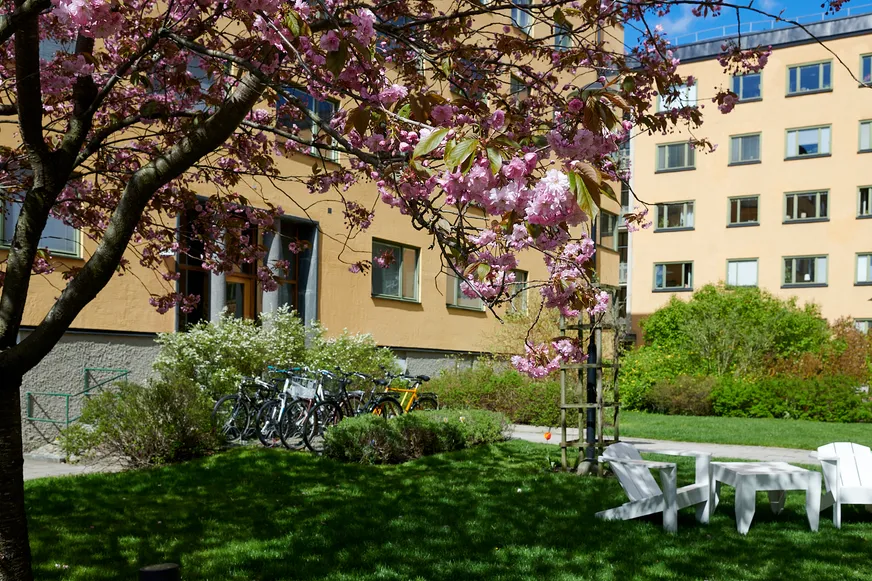 Fullskärm