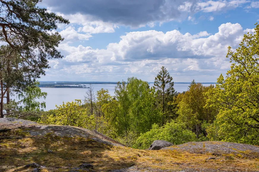 Fullskärm