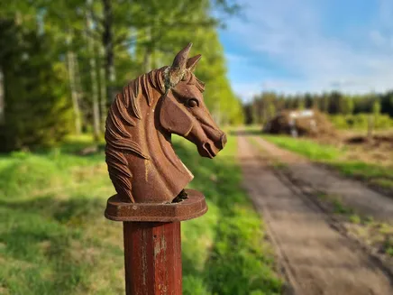 Fullskärm