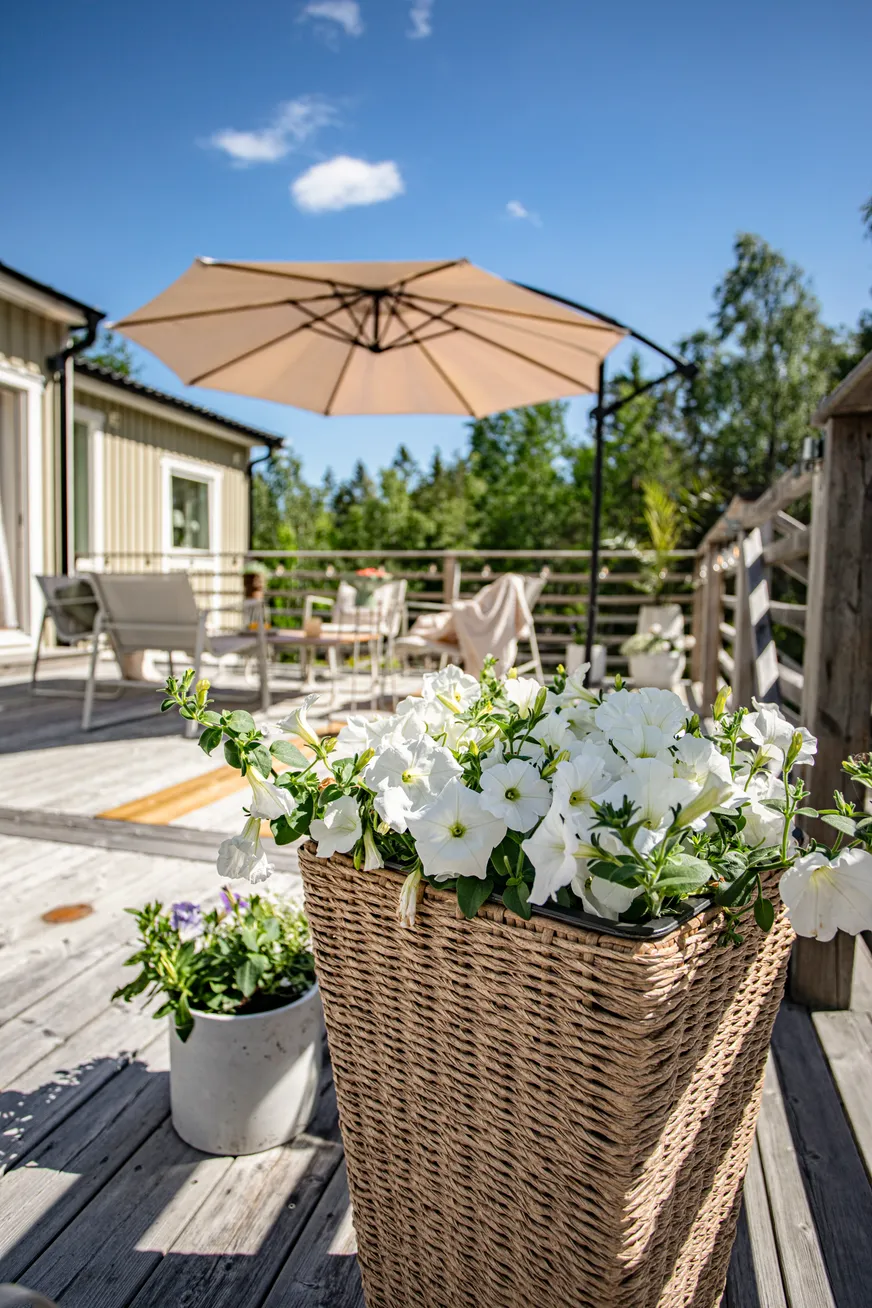 Fullskärm