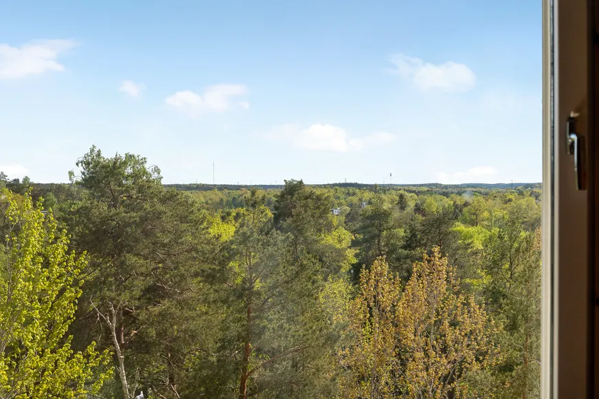 Fullskärm