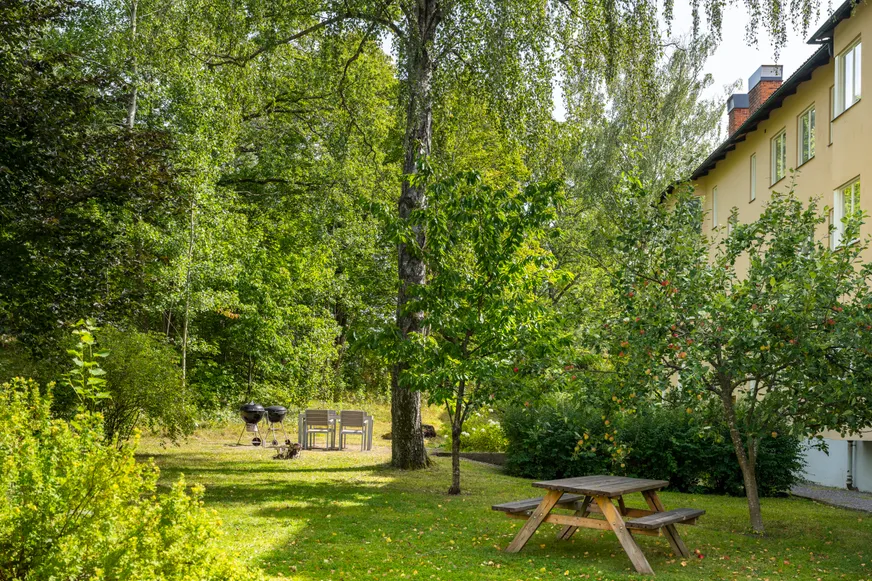 Fullskärm