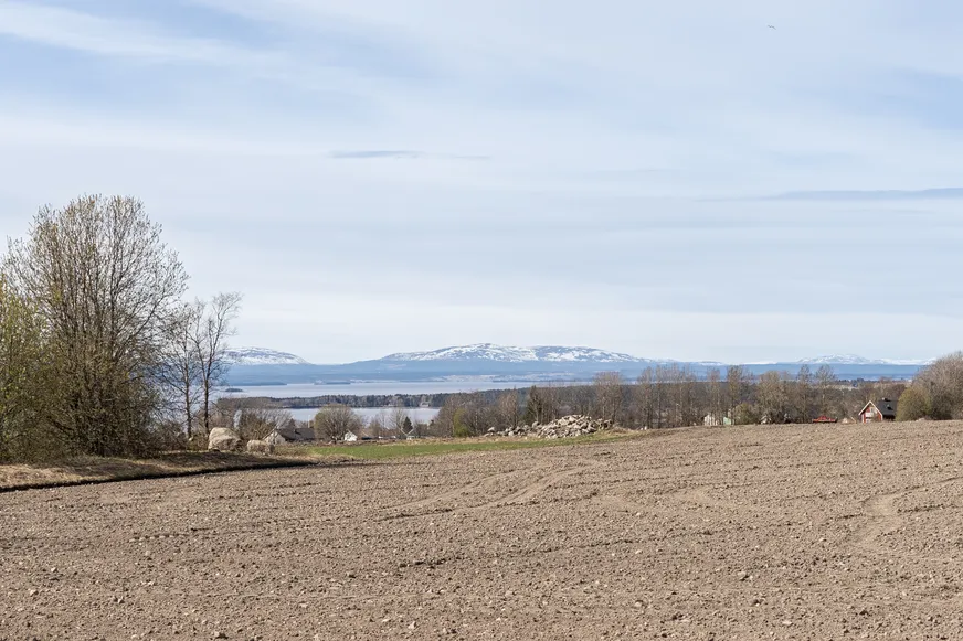 Fullskärm