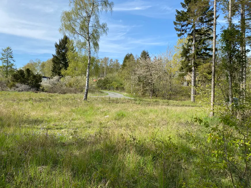 Fullskärm