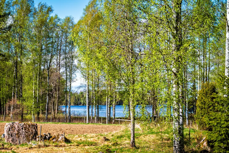 Fullskärm