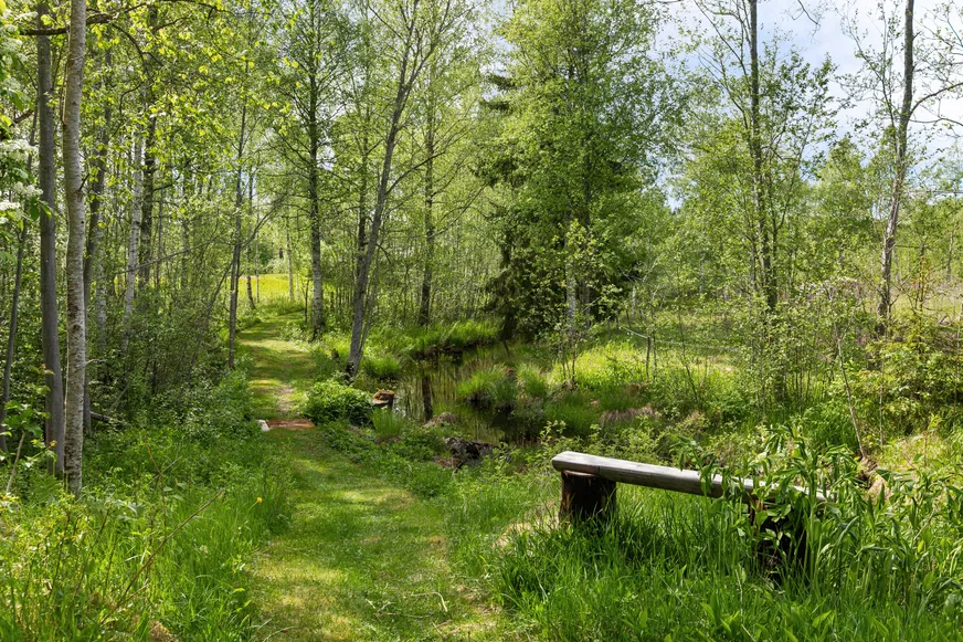 Fullskärm