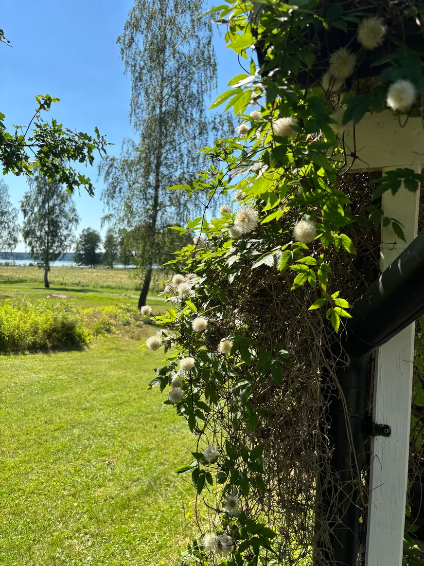 Fullskärm