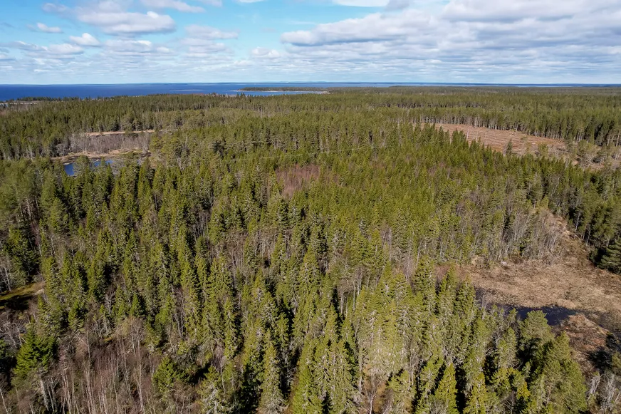 Fullskärm
