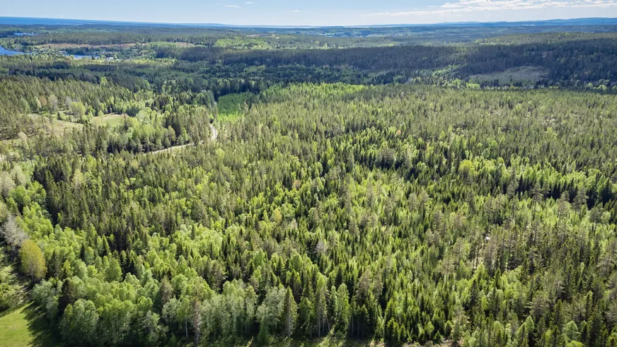 Fullskärm