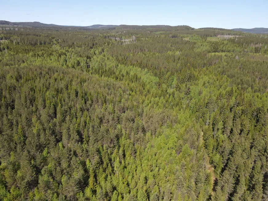 Fullskärm