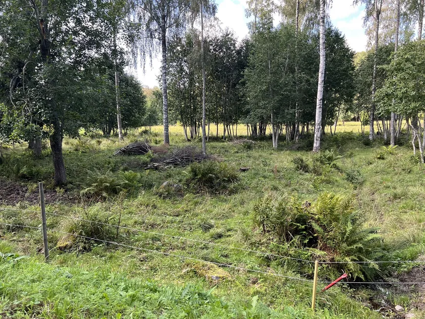 Fullskärm