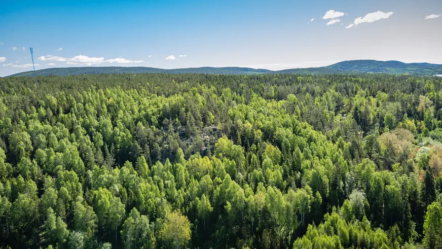 Fullskärm