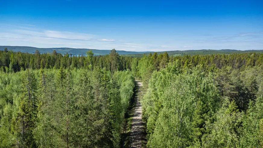 Del av ÅNGE LERINGEN 1:97 (Skogen) photo 4