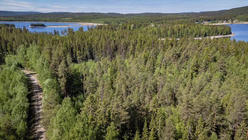 Del av ÅNGE LERINGEN 1:97 (Skogen) photo 5