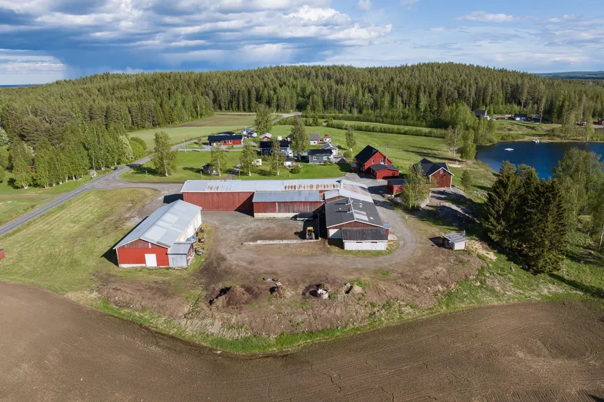 Fullskärm