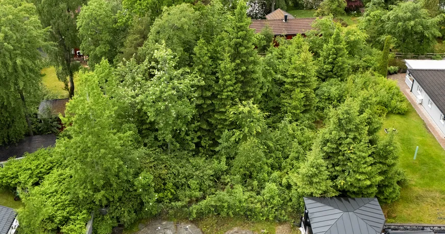 Fullskärm