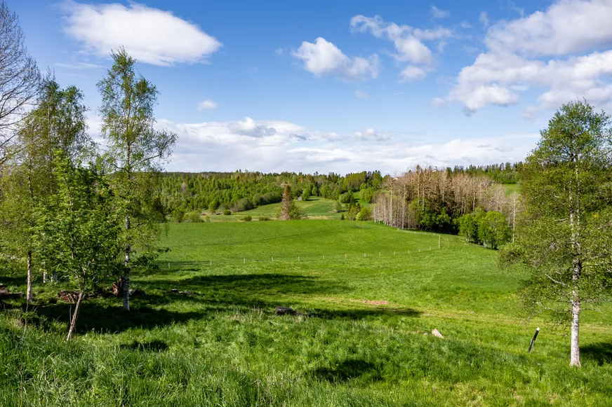 Fullskärm