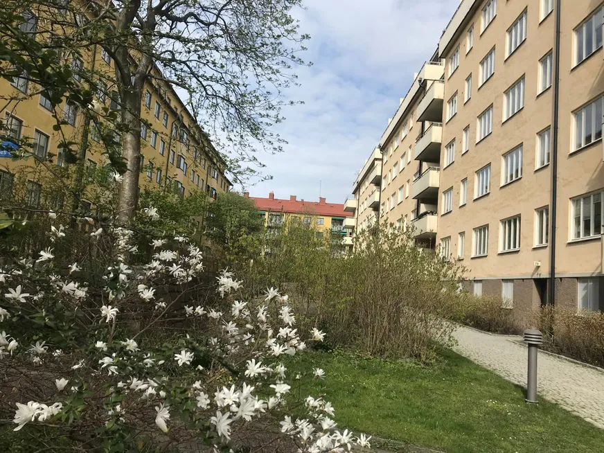 Fullskärm