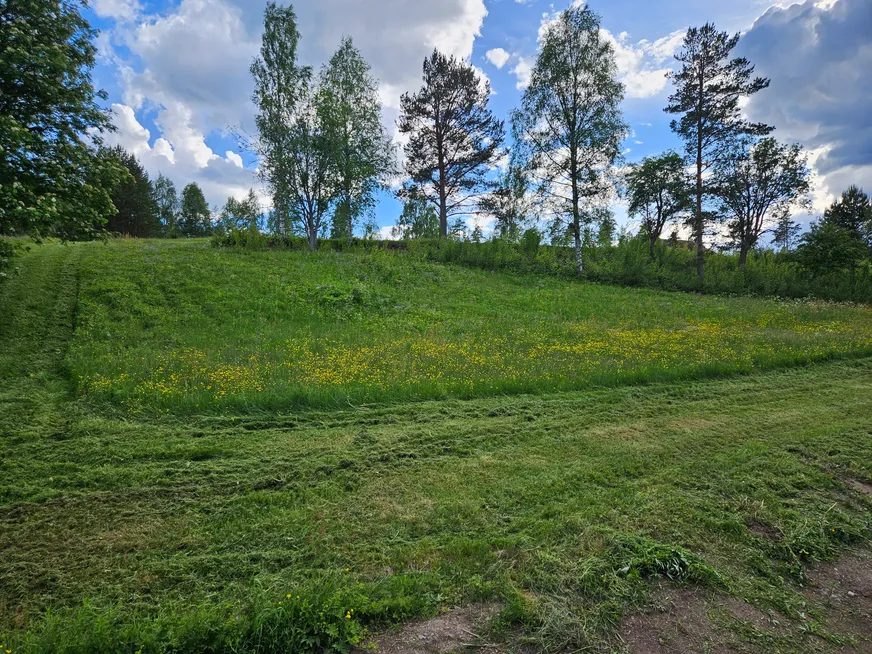 Fullskärm