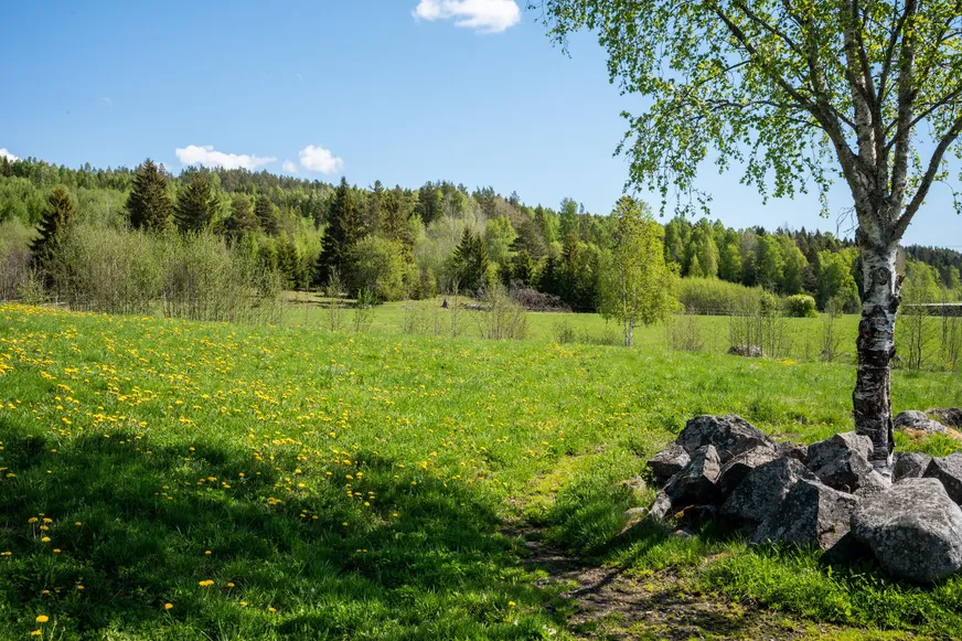 Fullskärm