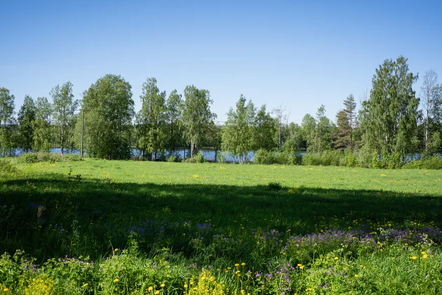 Fullskärm