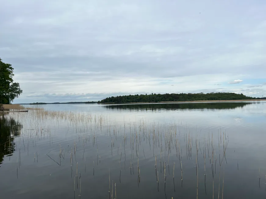 Fullskärm