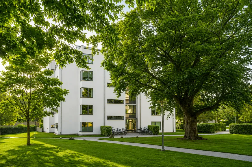 Fullskärm