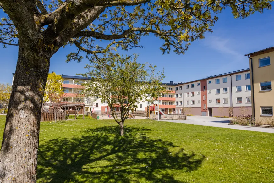 Fullskärm