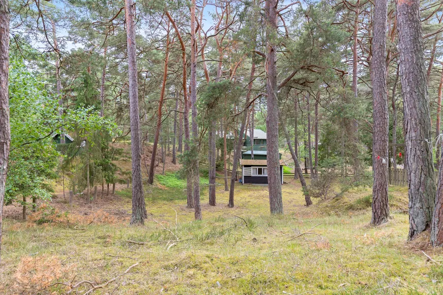 Fullskärm