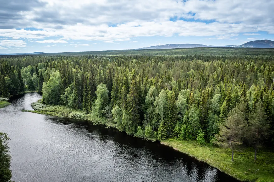 Fullskärm