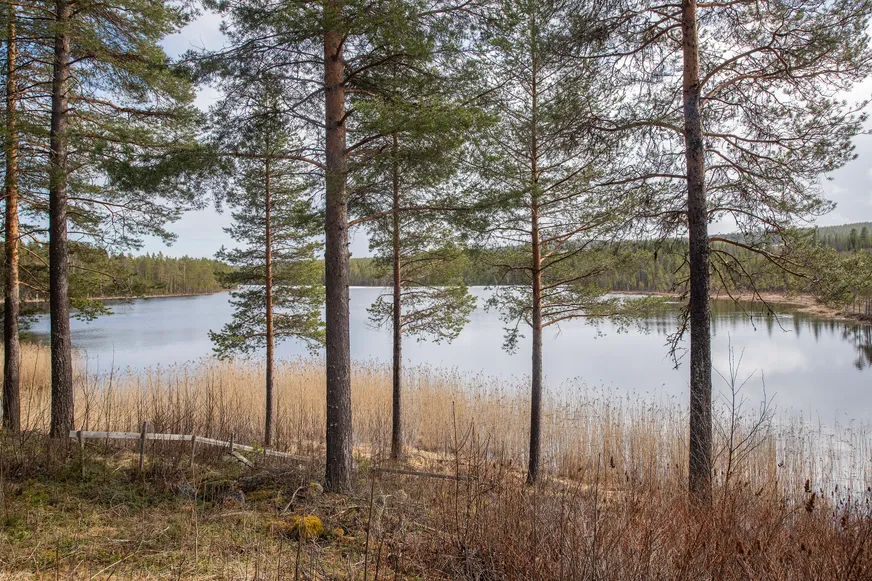 Fullskärm
