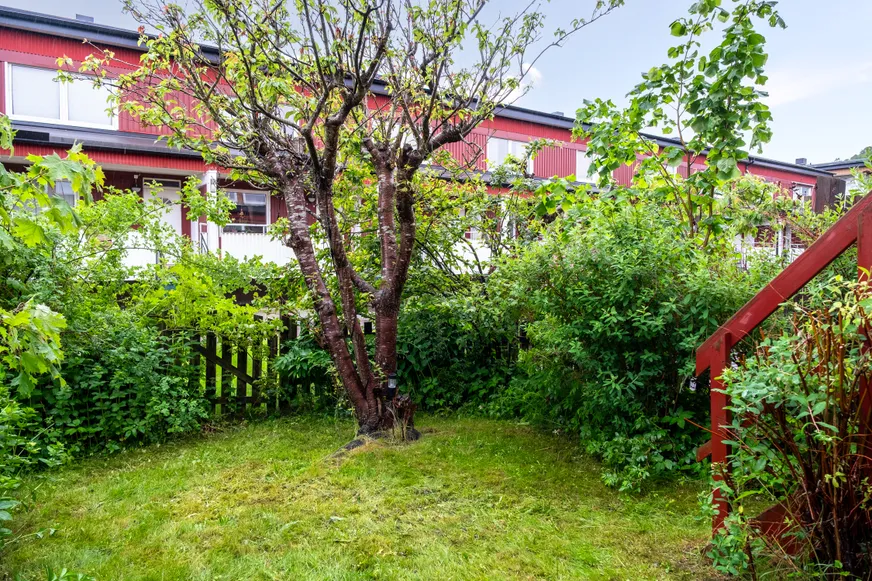 Fullskärm