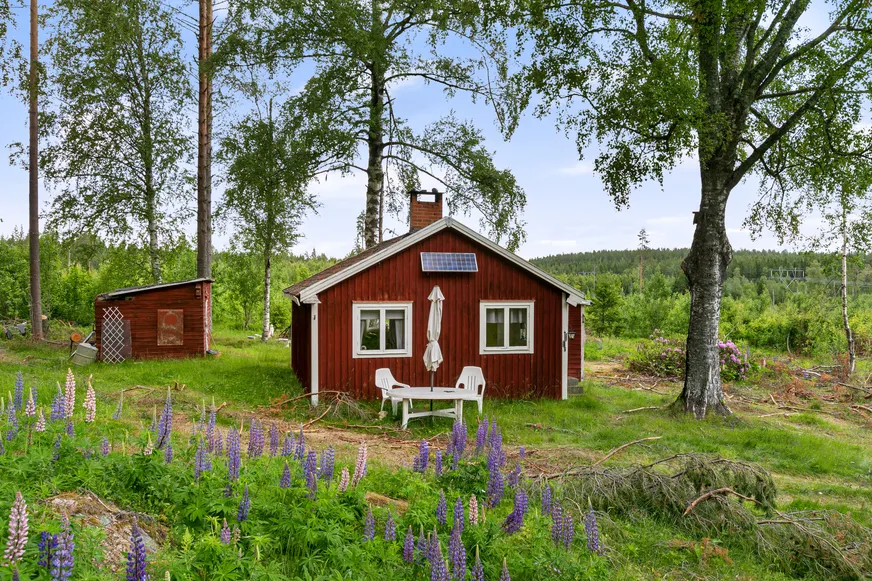 Hedsjöns fäbodar 308 photo 4