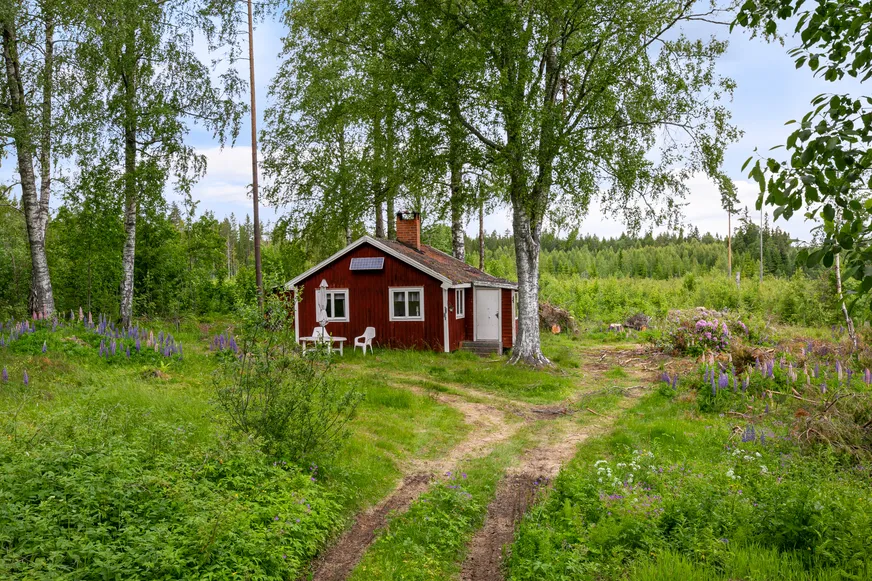 Hedsjöns fäbodar 308