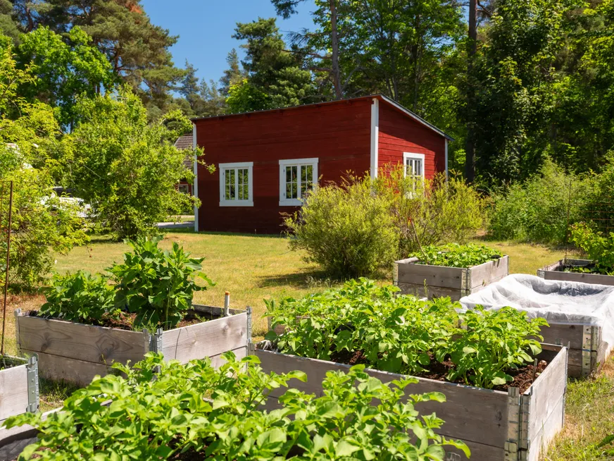Fullskärm