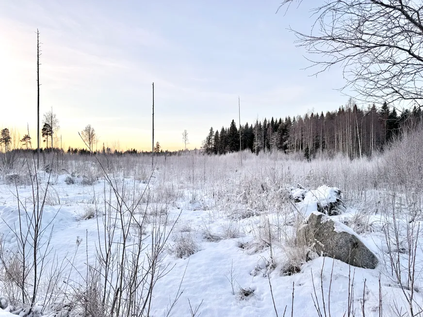 Fullskärm