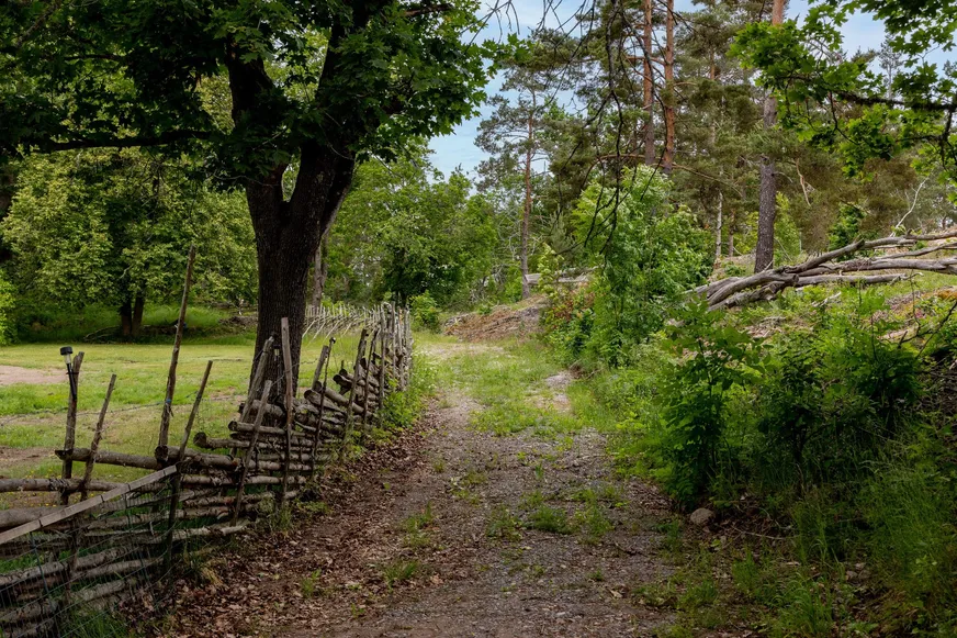 Fullskärm