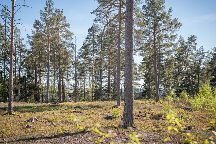 Fullskärm
