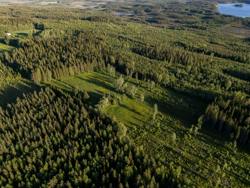 Fullskärm