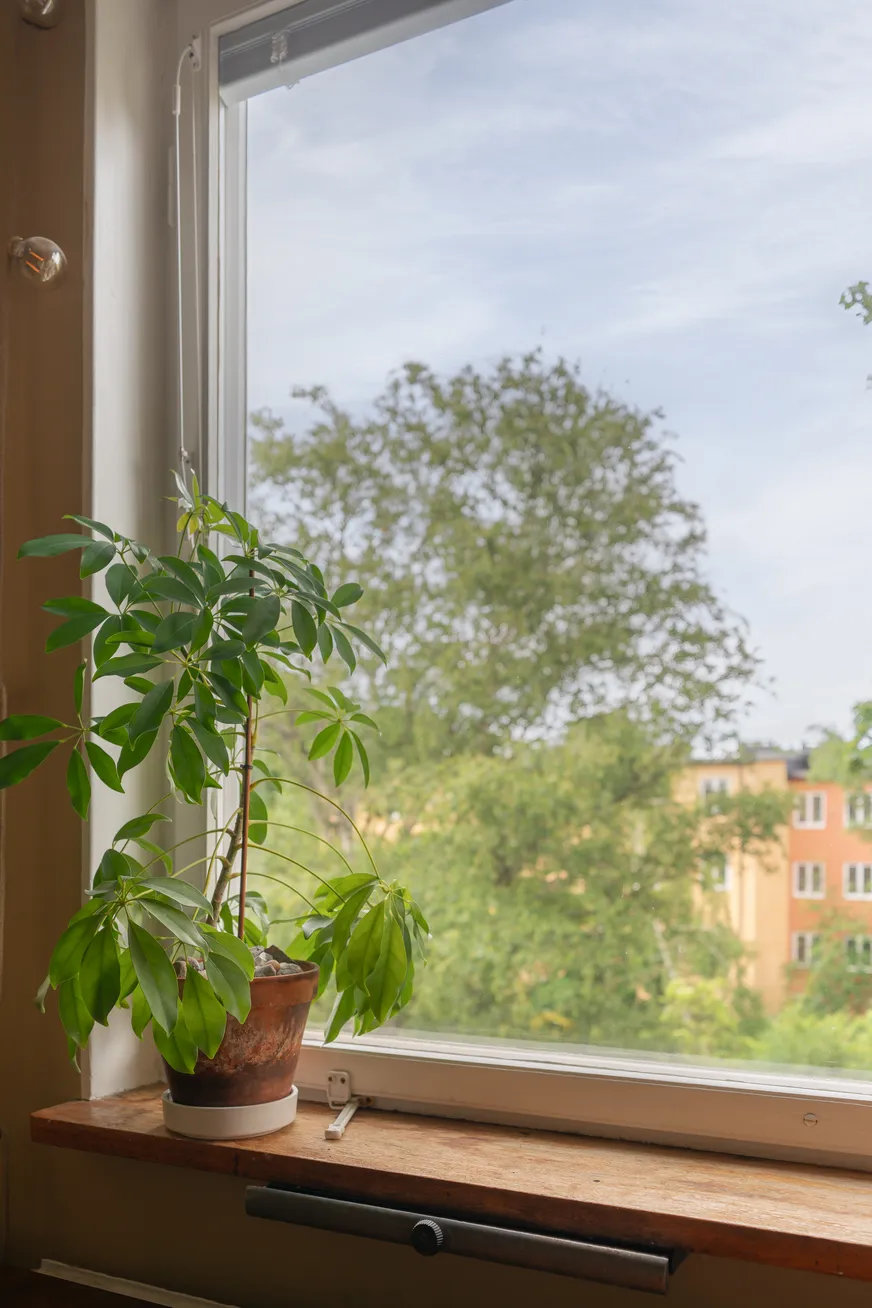 Cedergrensvägen 25 photo 4