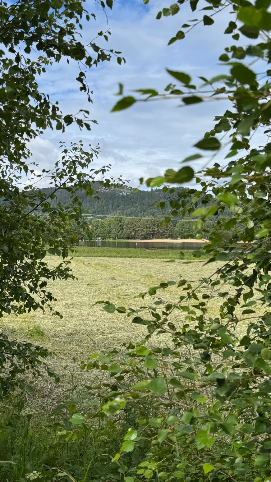 Fullskärm
