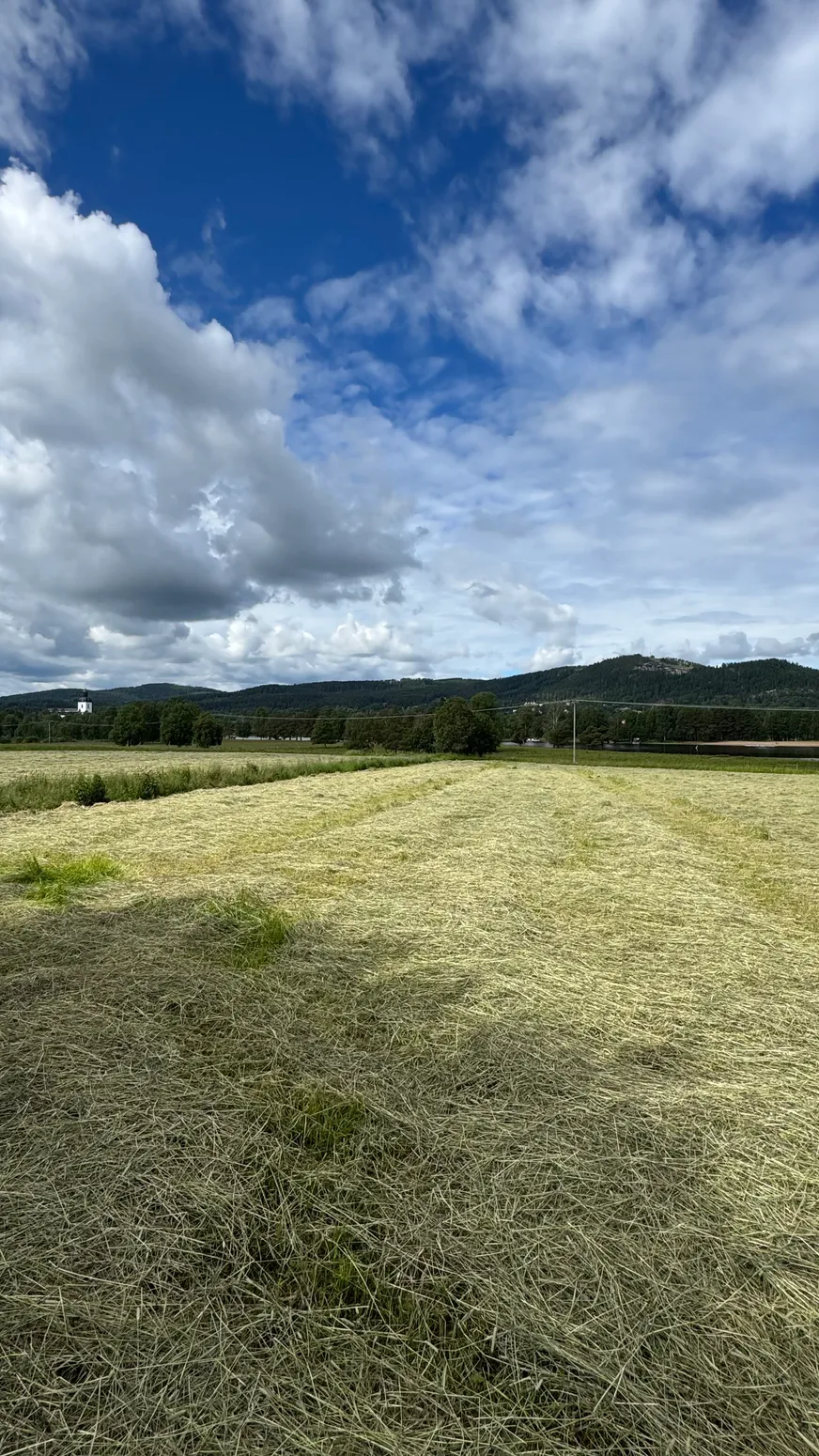 Fullskärm