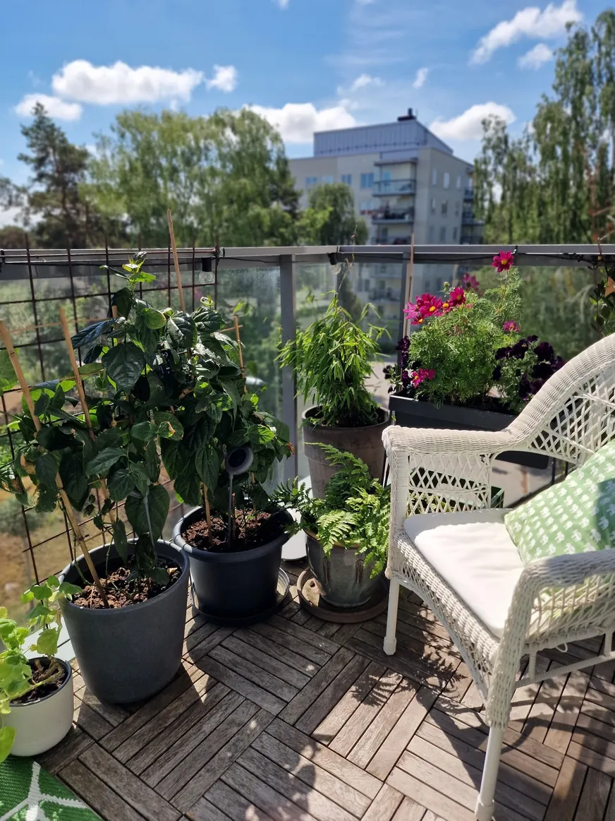 Fullskärm