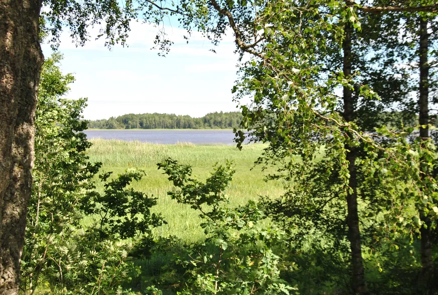 Fullskärm