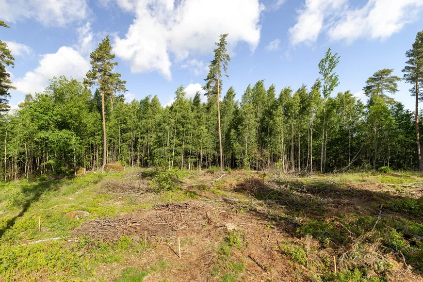 Malmskogen 10:221