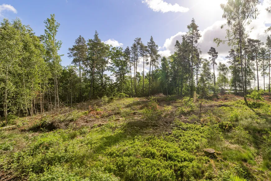 Malmskogen 10:221 photo 4
