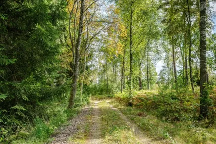 Fullskärm